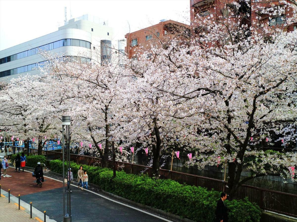 Coto Tokyo Shibuya 6 Apartment Exterior foto